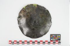 Foto von Bronzephalere (NHMW-PRAE-026056)